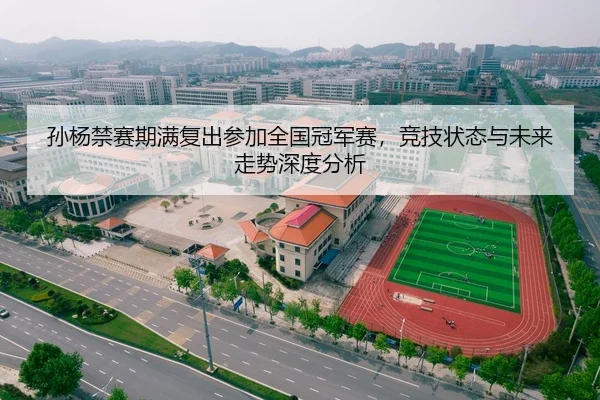 孙杨禁赛期满复出参加全国冠军赛，竞技状态与未来走势深度分析（hth）